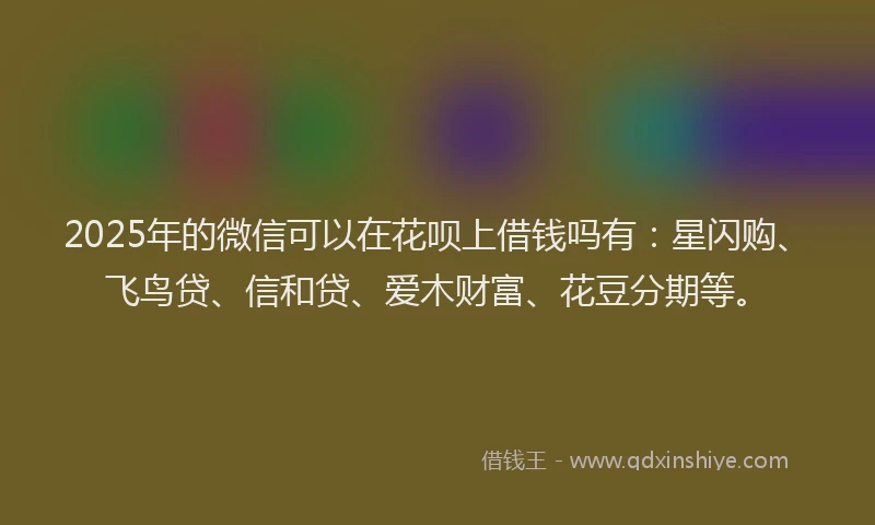 2025年的微信可以在花呗上借钱吗有：星闪购、飞鸟贷、信和贷、爱木财富、花豆分期等。