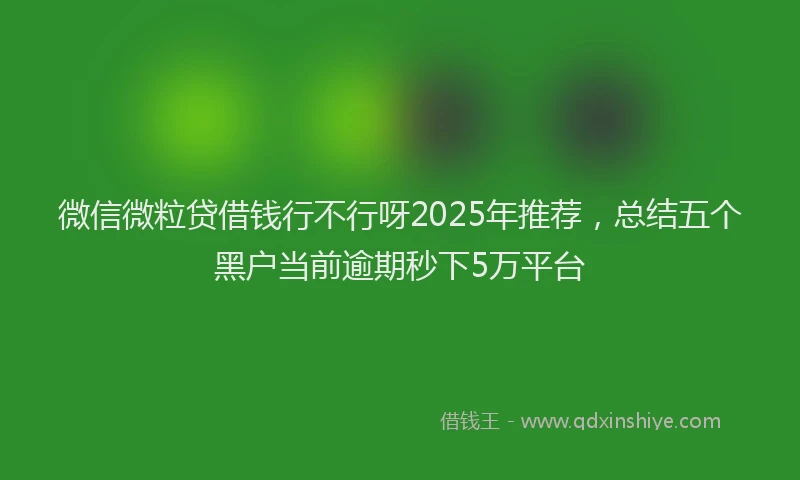 微信微粒贷借钱行不行呀2025年推荐，总结五个黑户当前逾期秒下5万平台