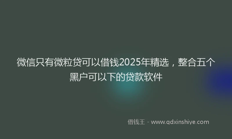 微信只有微粒贷可以借钱2025年精选，整合五个黑户可以下的贷款软件