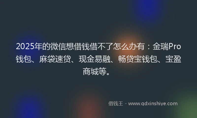2025年的微信想借钱借不了怎么办有：金瑞Pro钱包、麻袋速贷、现金易融、畅贷宝钱包、宝盈商城等。