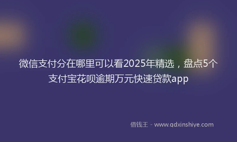 微信支付分在哪里可以看2025年精选，盘点5个支付宝花呗逾期万元快速贷款app