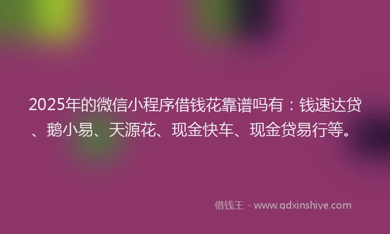 2025年的微信小程序借钱花靠谱吗有：钱速达贷、鹅小易、天源花、现金快车、现金贷易行等。