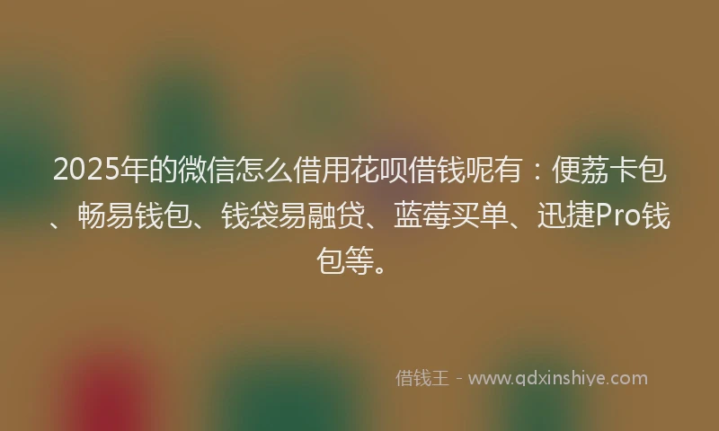 2025年的微信怎么借用花呗借钱呢有：便荔卡包、畅易钱包、钱袋易融贷、蓝莓买单、迅捷Pro钱包等。