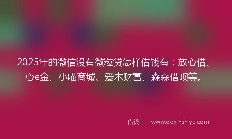 2025年的微信没有微粒贷怎样借钱有：放心借、心e金、小喵商城、爱木财富、森森借呗等。