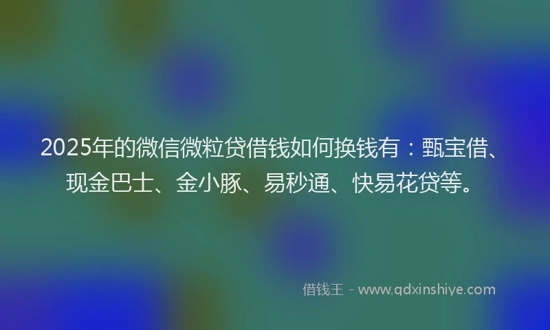 2025年的微信微粒贷借钱如何换钱有：甄宝借、现金巴士、金小豚、易秒通、快易花贷等。