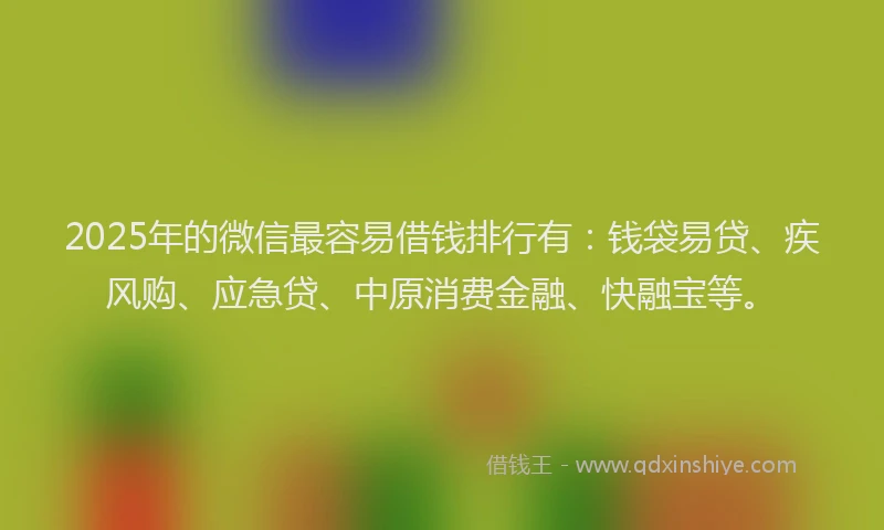 2025年的微信最容易借钱排行有：钱袋易贷、疾风购、应急贷、中原消费金融、快融宝等。