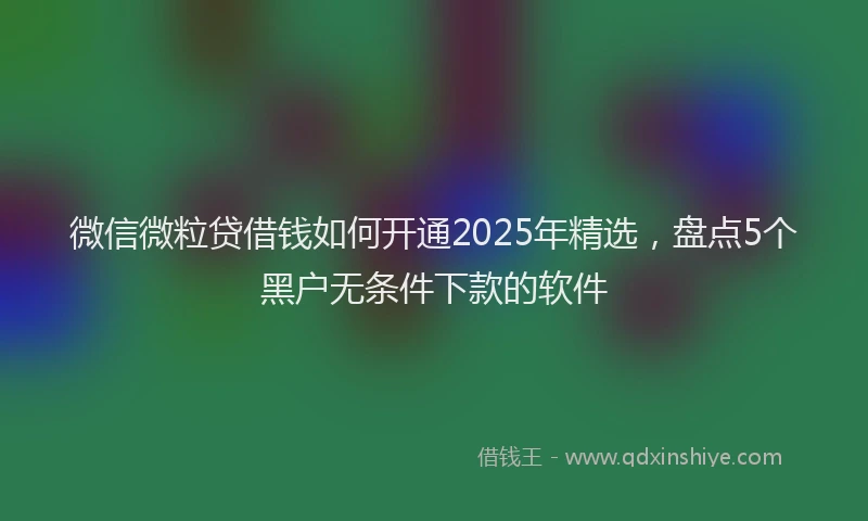 微信微粒贷借钱如何开通2025年精选，盘点5个黑户无条件下款的软件