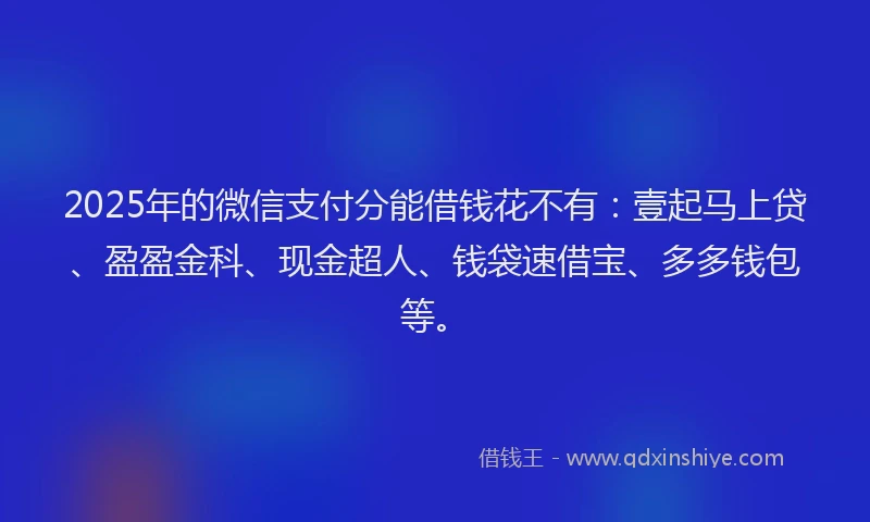 2025年的微信支付分能借钱花不有：壹起马上贷、盈盈金科、现金超人、钱袋速借宝、多多钱包等。