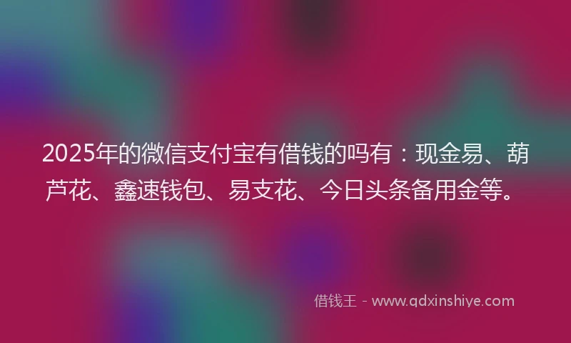 2025年的微信支付宝有借钱的吗有：现金易、葫芦花、鑫速钱包、易支花、今日头条备用金等。