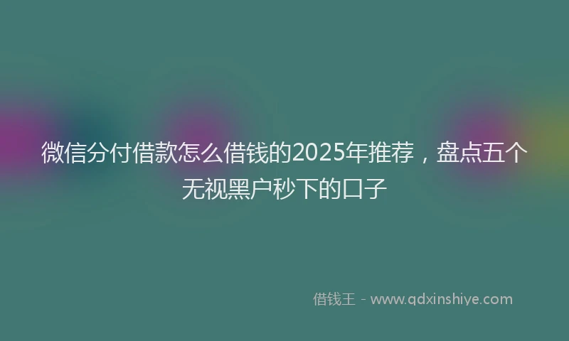 微信分付借款怎么借钱的2025年推荐，盘点五个无视黑户秒下的口子
