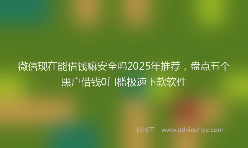 微信现在能借钱嘛安全吗2025年推荐，盘点五个黑户借钱0门槛极速下款软件
