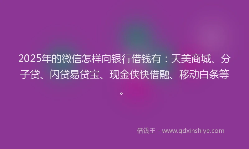 2025年的微信怎样向银行借钱有：天美商城、分子贷、闪贷易贷宝、现金侠快借融、移动白条等。