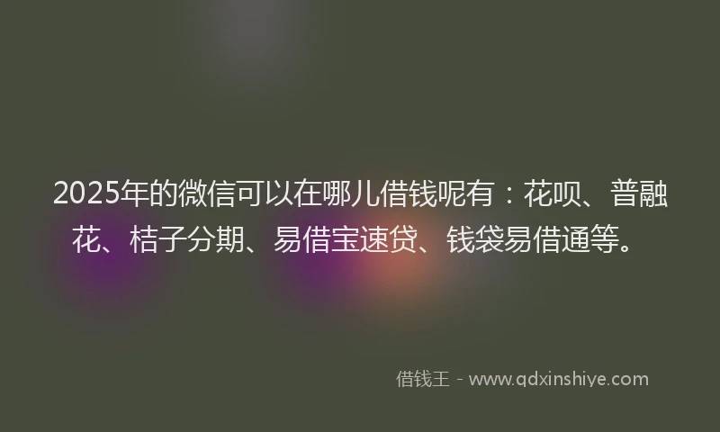 2025年的微信可以在哪儿借钱呢有：花呗、普融花、桔子分期、易借宝速贷、钱袋易借通等。