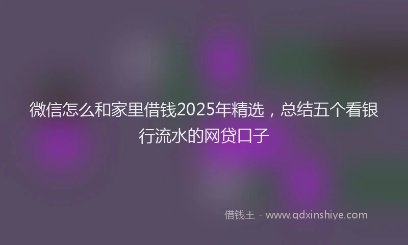 微信怎么和家里借钱2025年精选，总结五个看银行流水的网贷口子