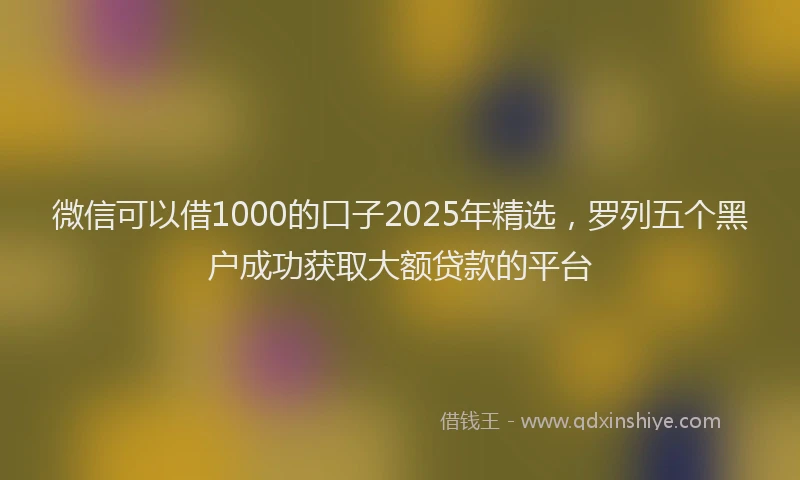 微信可以借1000的口子2025年精选，罗列五个黑户成功获取大额贷款的平台