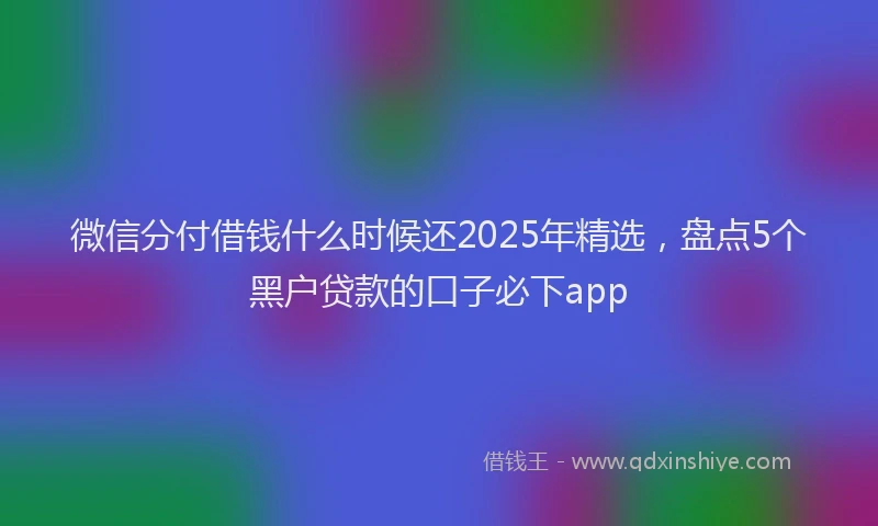微信分付借钱什么时候还2025年精选，盘点5个黑户贷款的口子必下app