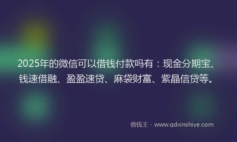 2025年的微信可以借钱付款吗有：现金分期宝、钱速借融、盈盈速贷、麻袋财富、紫晶信贷等。