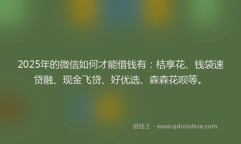 2025年的微信如何才能借钱有：桔享花、钱袋速贷融、现金飞贷、好优选、森森花呗等。