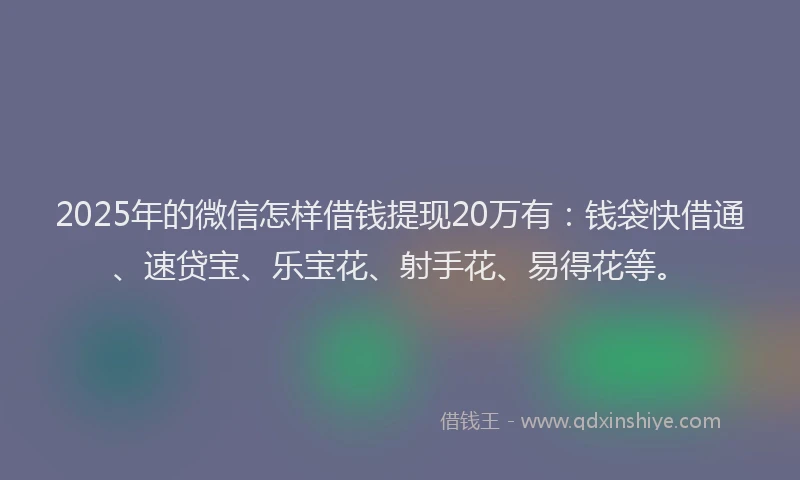 2025年的微信怎样借钱提现20万有：钱袋快借通、速贷宝、乐宝花、射手花、易得花等。