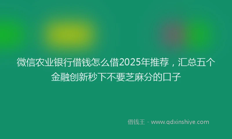 微信农业银行借钱怎么借2025年推荐，汇总五个金融创新秒下不要芝麻分的口子