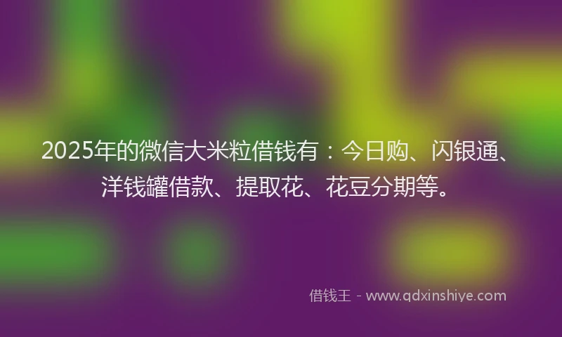 2025年的微信大米粒借钱有：今日购、闪银通、洋钱罐借款、提取花、花豆分期等。