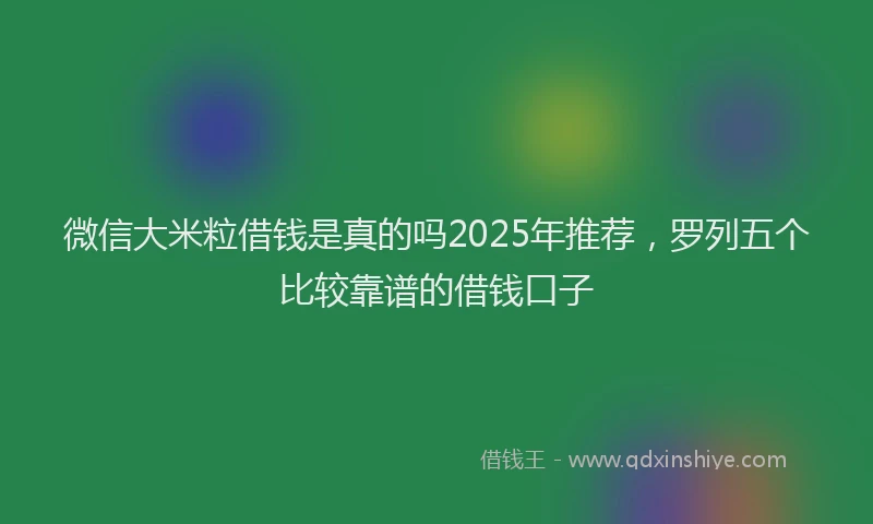 微信大米粒借钱是真的吗2025年推荐，罗列五个比较靠谱的借钱口子