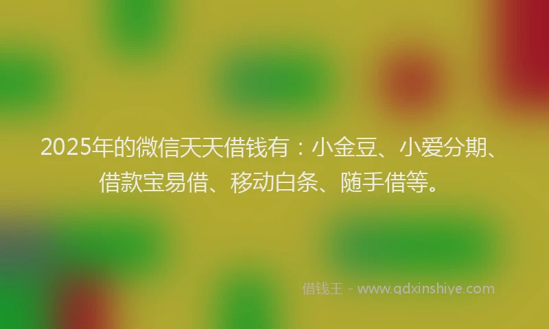 2025年的微信天天借钱有：小金豆、小爱分期、借款宝易借、移动白条、随手借等。