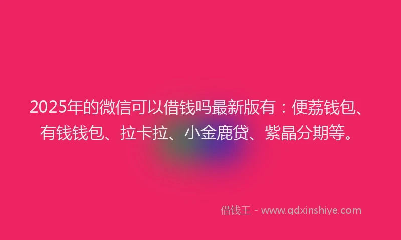 2025年的微信可以借钱吗最新版有：便荔钱包、有钱钱包、拉卡拉、小金鹿贷、紫晶分期等。