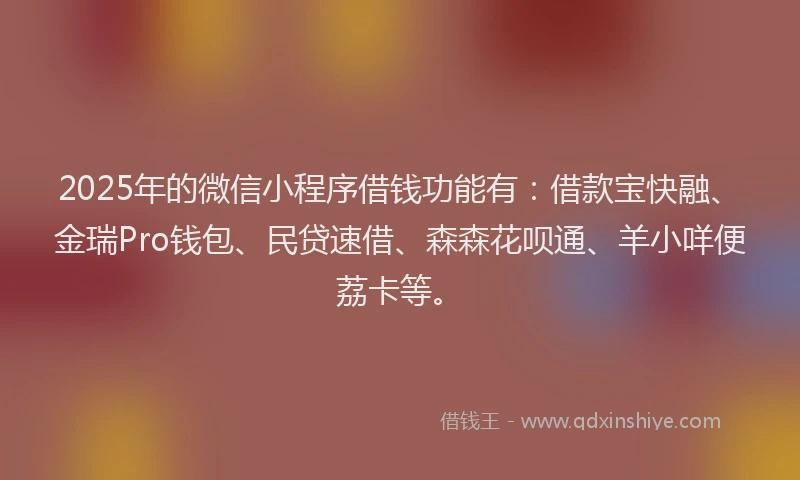 2025年的微信小程序借钱功能有：借款宝快融、金瑞Pro钱包、民贷速借、森森花呗通、羊小咩便荔卡等。