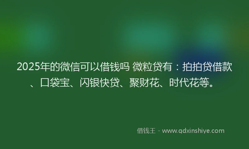 2025年的微信可以借钱吗 微粒贷有：拍拍贷借款、口袋宝、闪银快贷、聚财花、时代花等。