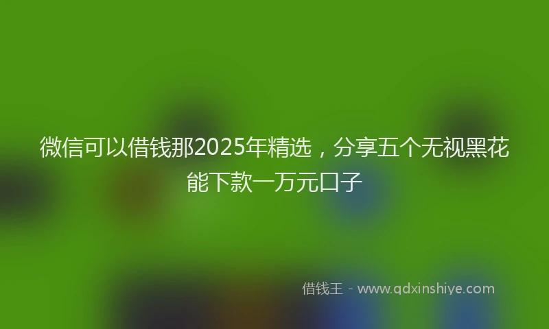 微信可以借钱那2025年精选，分享五个无视黑花能下款一万元口子