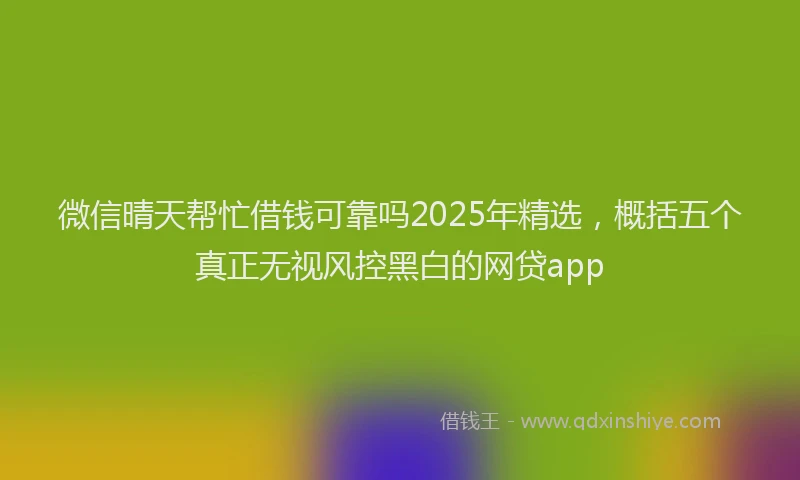 微信晴天帮忙借钱可靠吗2025年精选，概括五个真正无视风控黑白的网贷app