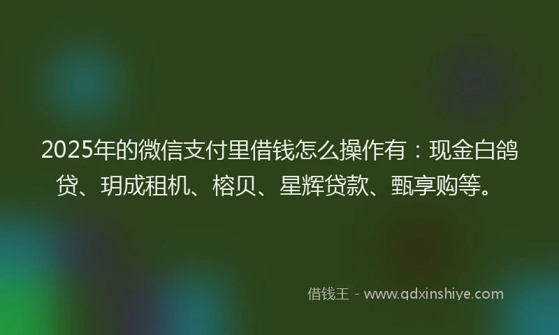 2025年的微信支付里借钱怎么操作有：现金白鸽贷、玥成租机、榕贝、星辉贷款、甄享购等。