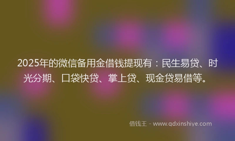 2025年的微信备用金借钱提现有：民生易贷、时光分期、口袋快贷、掌上贷、现金贷易借等。