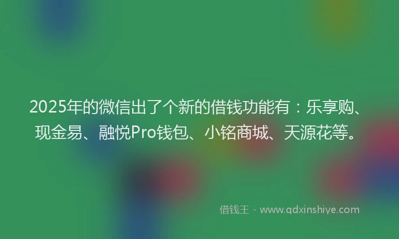 2025年的微信出了个新的借钱功能有：乐享购、现金易、融悦Pro钱包、小铭商城、天源花等。