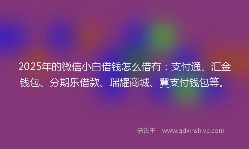 2025年的微信小白借钱怎么借有：支付通、汇金钱包、分期乐借款、瑞耀商城、翼支付钱包等。