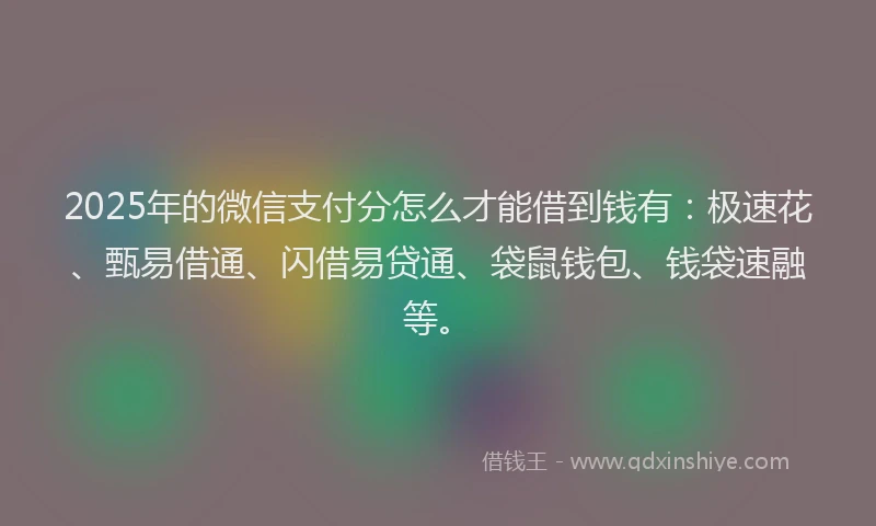 2025年的微信支付分怎么才能借到钱有：极速花、甄易借通、闪借易贷通、袋鼠钱包、钱袋速融等。