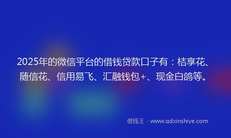 2025年的微信平台的借钱贷款口子有：桔享花、随信花、信用易飞、汇融钱包+、现金白鸽等。