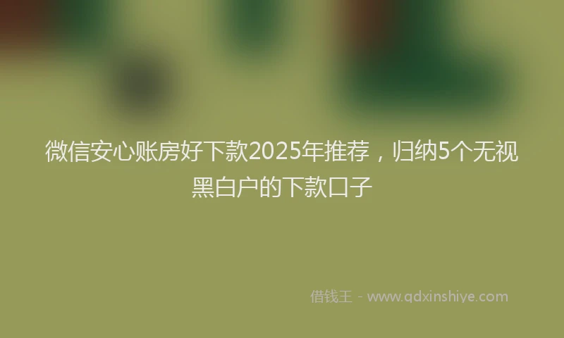 微信安心账房好下款2025年推荐，归纳5个无视黑白户的下款口子