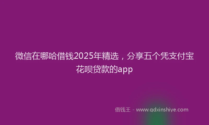微信在哪哈借钱2025年精选，分享五个凭支付宝花呗贷款的app