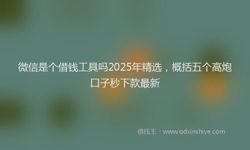 微信是个借钱工具吗2025年精选，概括五个高炮口子秒下款最新