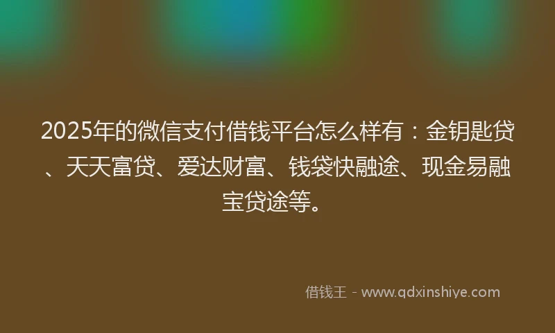 2025年的微信支付借钱平台怎么样有：金钥匙贷、天天富贷、爱达财富、钱袋快融途、现金易融宝贷途等。