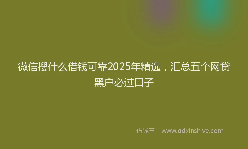 微信搜什么借钱可靠2025年精选，汇总五个网贷黑户必过口子