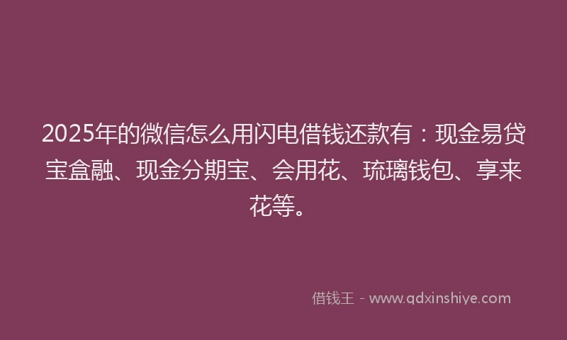 2025年的微信怎么用闪电借钱还款有：现金易贷宝盒融、现金分期宝、会用花、琉璃钱包、享来花等。