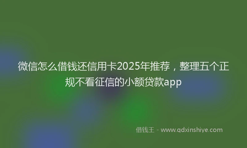 微信怎么借钱还信用卡2025年推荐，整理五个正规不看征信的小额贷款app