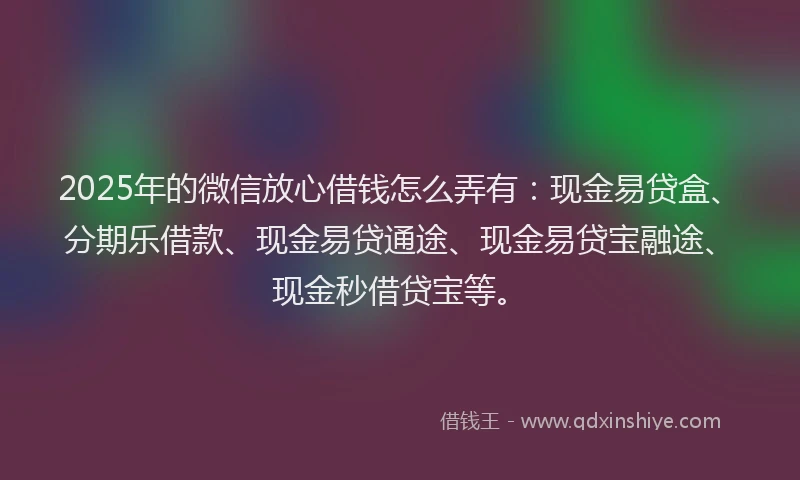 2025年的微信放心借钱怎么弄有：现金易贷盒、分期乐借款、现金易贷通途、现金易贷宝融途、现金秒借贷宝等。