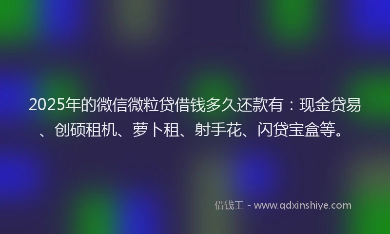 2025年的微信微粒贷借钱多久还款有：现金贷易、创硕租机、萝卜租、射手花、闪贷宝盒等。