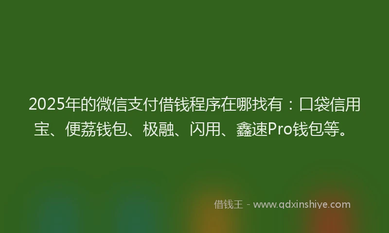 2025年的微信支付借钱程序在哪找有：口袋信用宝、便荔钱包、极融、闪用、鑫速Pro钱包等。