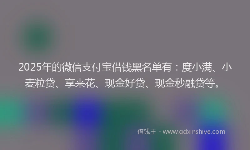 2025年的微信支付宝借钱黑名单有：度小满、小麦粒贷、享来花、现金好贷、现金秒融贷等。