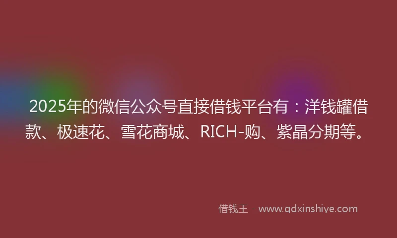 2025年的微信公众号直接借钱平台有：洋钱罐借款、极速花、雪花商城、RICH-购、紫晶分期等。